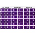 AVERY 43309 LATERAL FILE LABEL SIDE TAB COLOUR CODE I 25 X 38MM PURPLE PACK 180