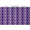 AVERY 43321 LATERAL FILE LABEL SIDE TAB COLOUR CODE U 25 X 38MM PURPLE PACK 180