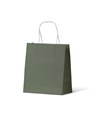 SMALL EARTH GREEN  PAPER BAG 200 X 170 X 100MM
