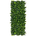 PLANT IMAGE GARDENIA EXPANDING TRELLIS 2000 X 100 X 1000MM