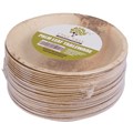 PALM SML 180M  ROUND BOWL PK 25 CTN 100