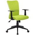 ASHLEY TYPIST CHAIR MEDIUM MESH BACK ARMS GREEN